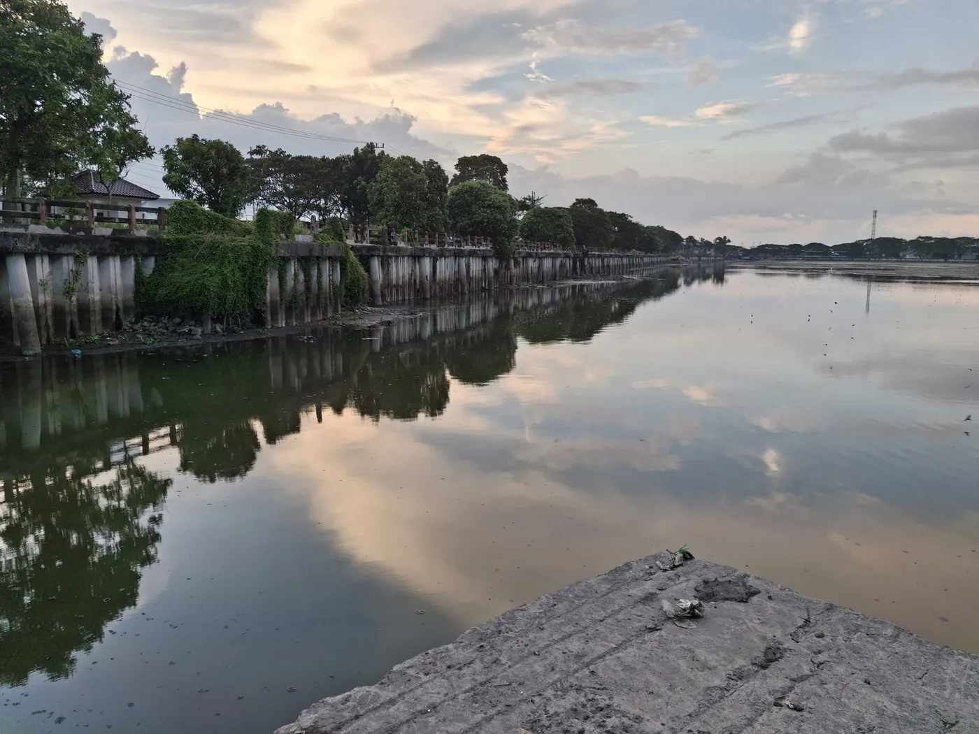 Exposed shoreline sediment beside a lake at low water