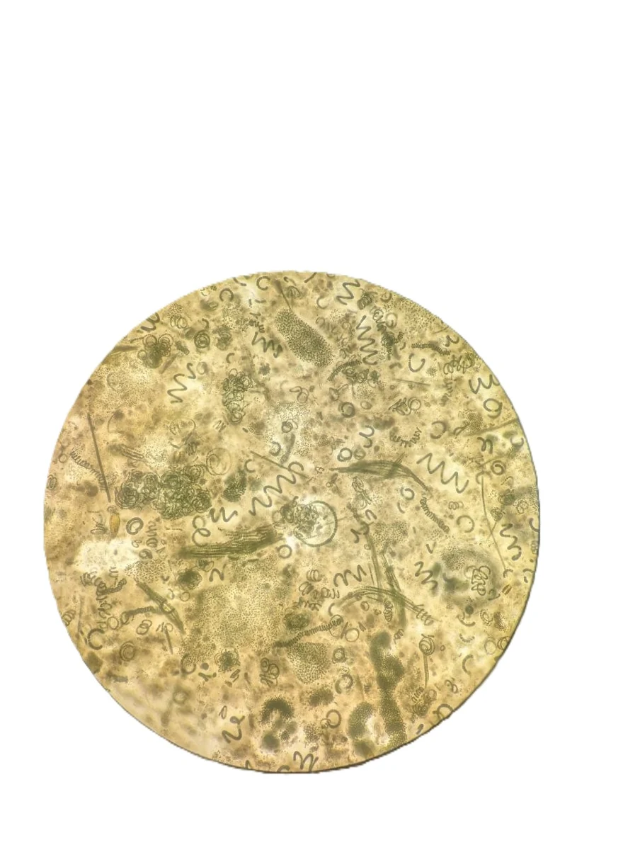 Microscope field showing filamentous organisms in an ENV field sample