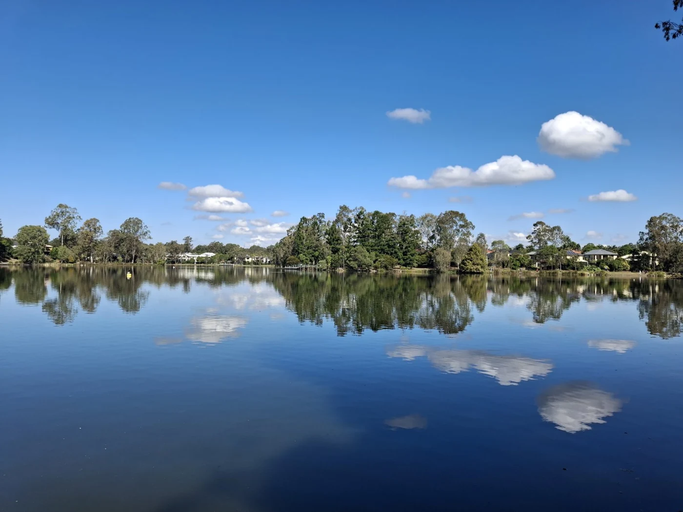 Tree-lined residential lake under a blue sky