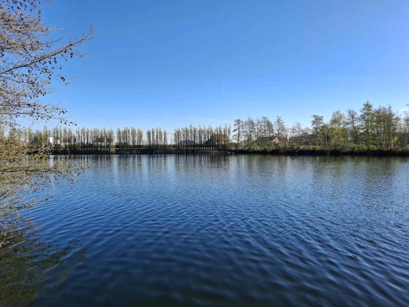 Open lake water bordered by spring trees