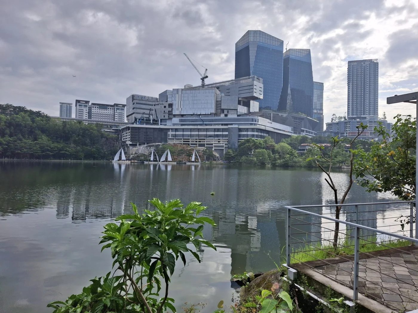 Vegetated margin beside an urban water body