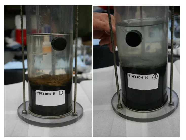 Two sediment and overlying-water samples in laboratory containers