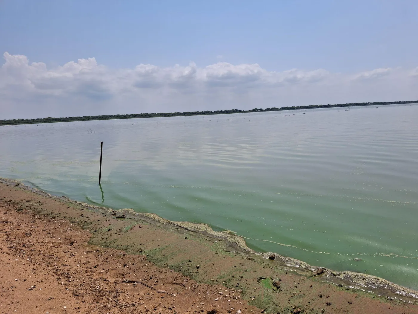 View across Tonle Sap from the shoreline