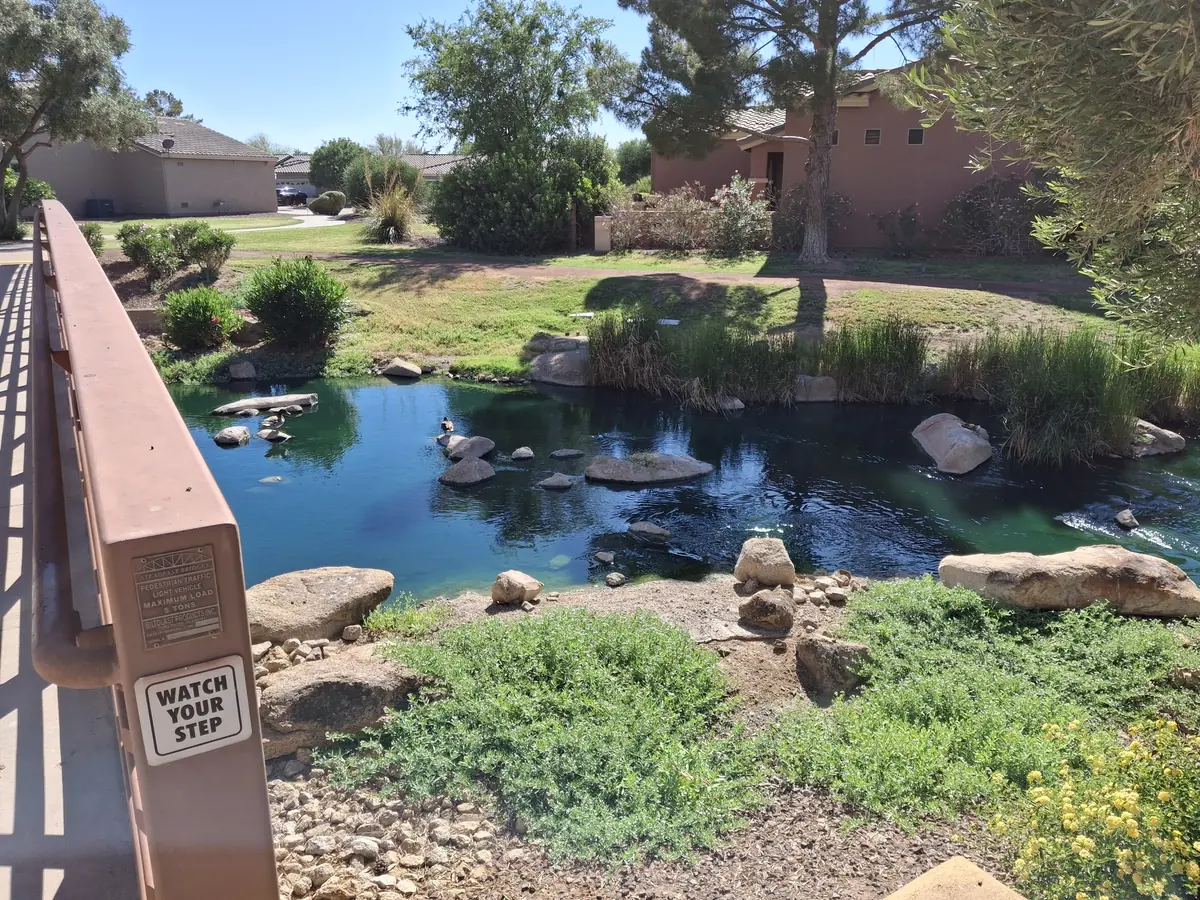 A pond targeted for controlled-release aquatic treatment