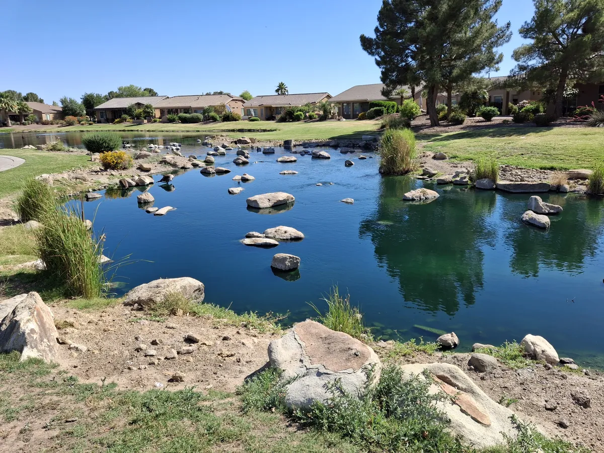 A treated pond holding restored clarity